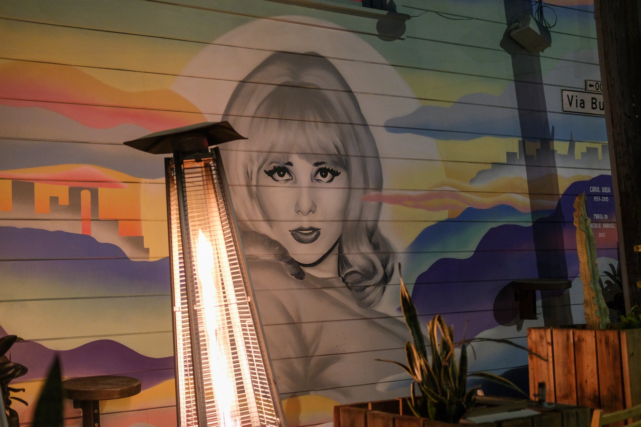 Mural of Carol Doda (a legendary stripper from the 70s) painted 
